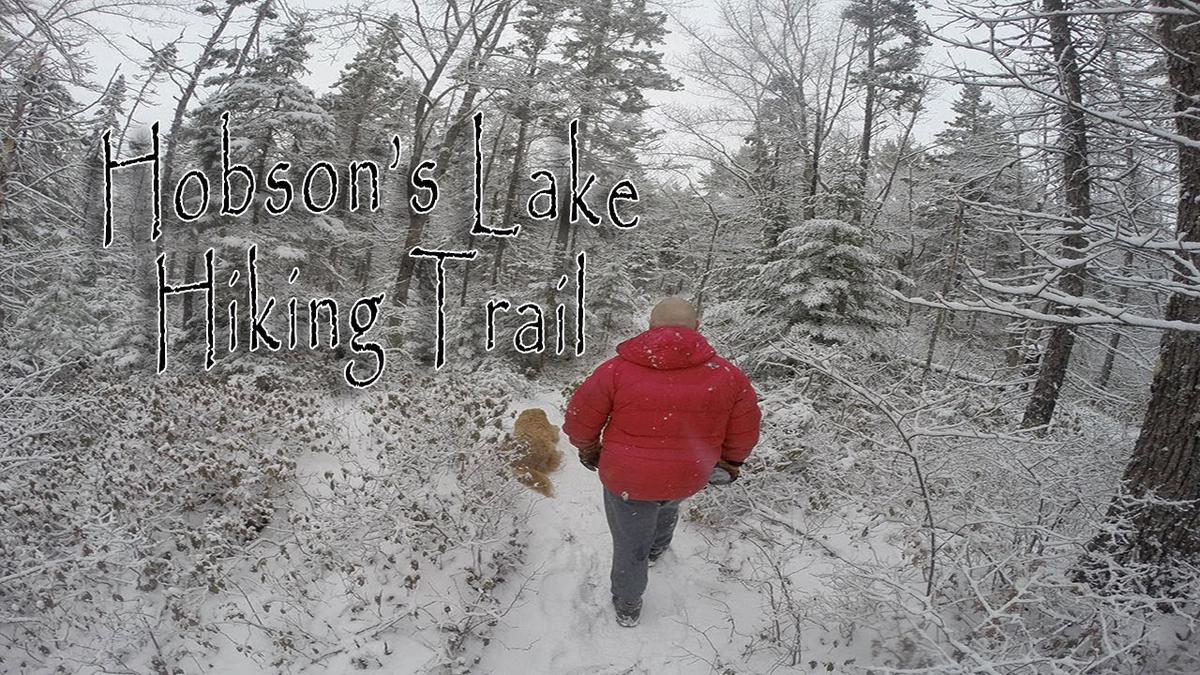 'Video thumbnail for A Walk In The Woods - Hobson's Lake Hiking Trail'
