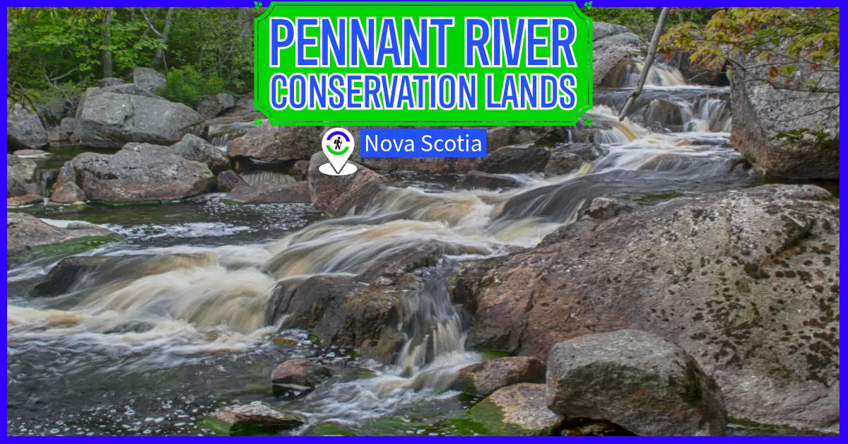 Pennant River Conservation Area in Prospect, Nova Scotia